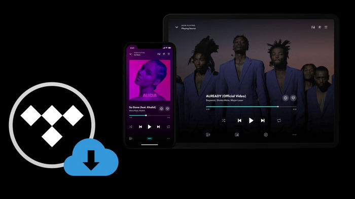 Top 6 Best Tidal Music Converters Review