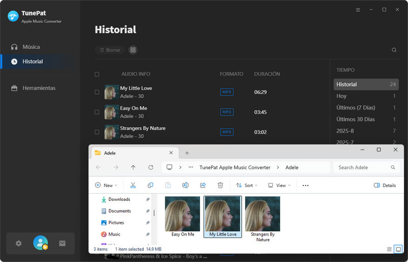 Canciones convertidas