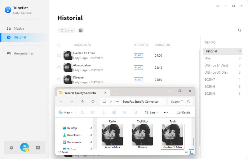 historial de TunePat Spotify Converter