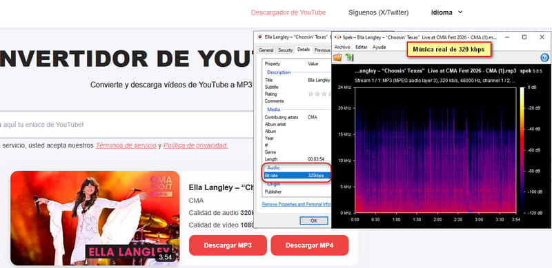 análisis de la calidad de audio de MP3YT