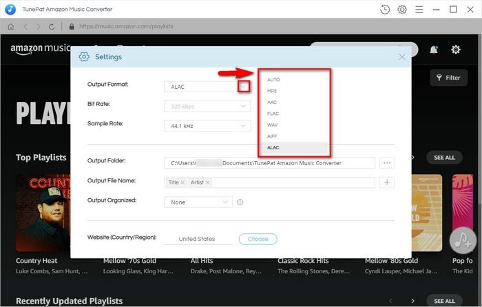 choose alac as the output format