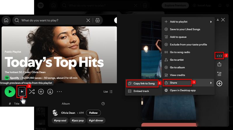 copy spotify canvas url