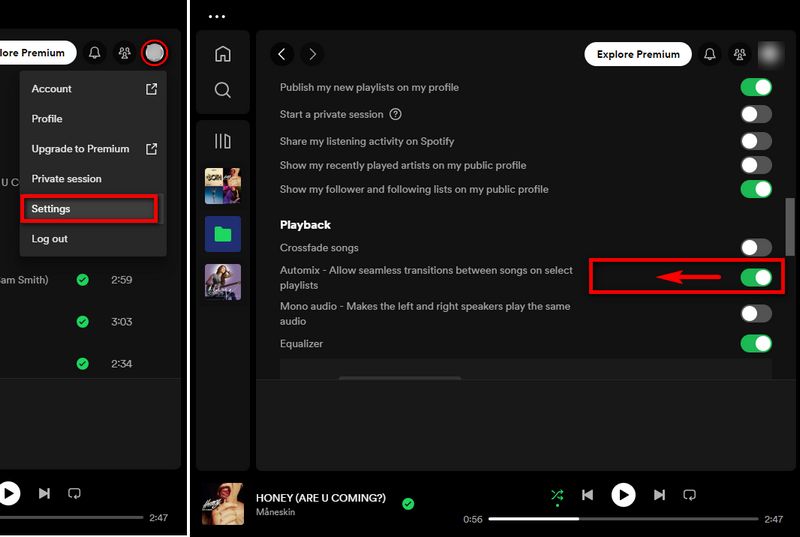 disable automix on spotify desktop app