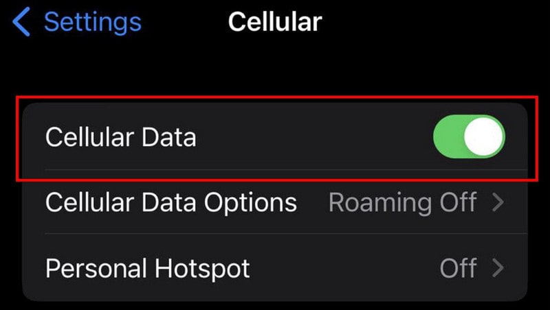 enable cellular data