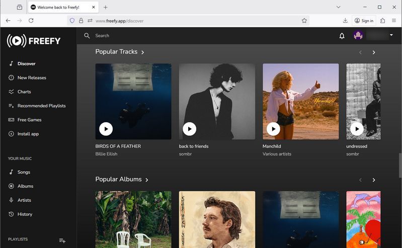 freety music interface
