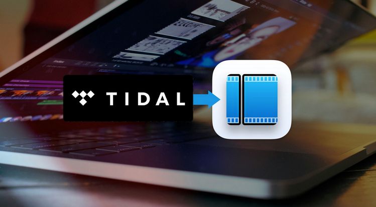 import Tidal songs to Shotcut