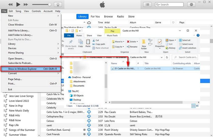 find apple music files on local folder