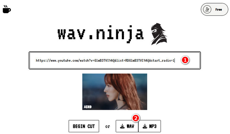 Ninja Simple YouTube to WAV Downloader