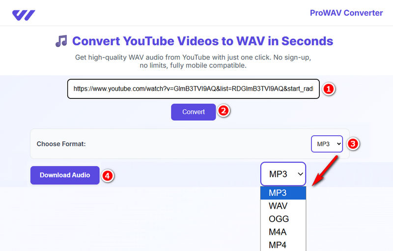ProWAV Converter YouTube to WAV Conversion Tool
