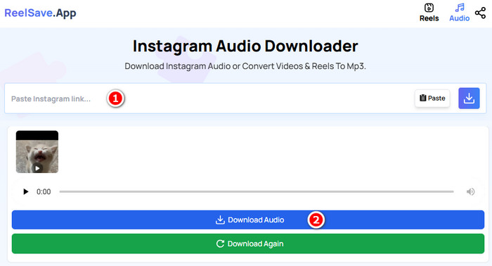 ReelSave.App convert Instagram reels to MP3