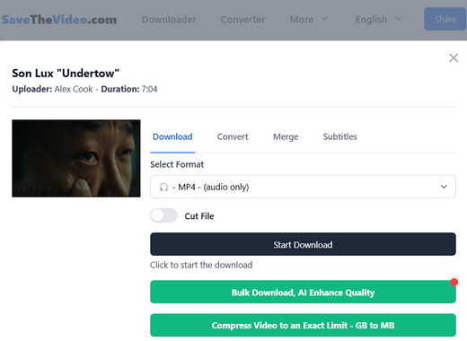 SaveTheVideo Vimeo to MP3 Downloader