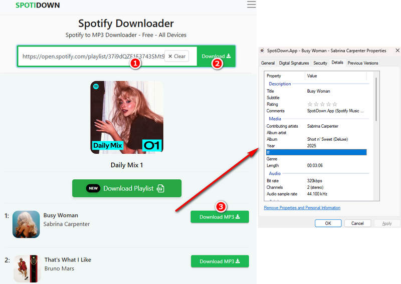 SPOTIDOWN Spotify Playlist Downloader