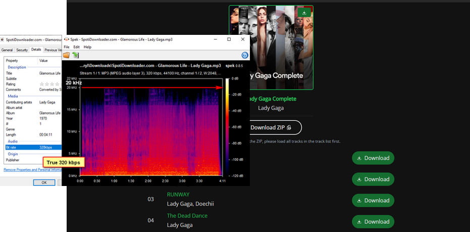 SpotifyDown download spotify playlist