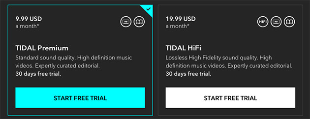 tidal music subscription