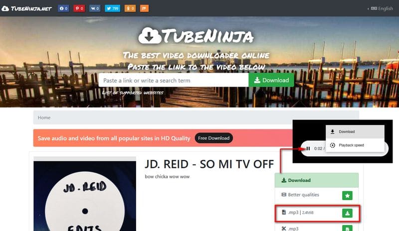 TubeNinja Bandcamp Downloader