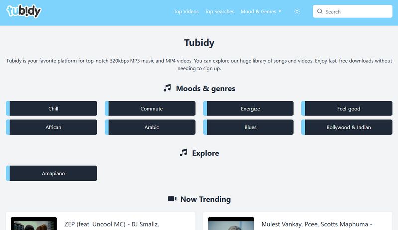 tubidy interface