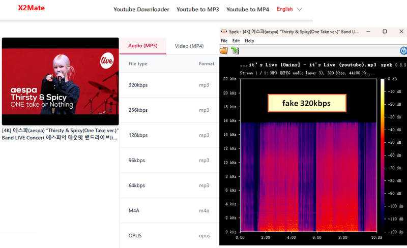 X2mate audio quality analysis