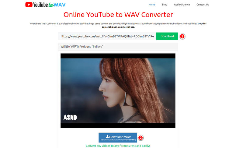 Convert YouTube Videos to WAV Online