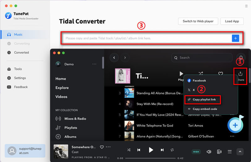 parse Tidal Music link