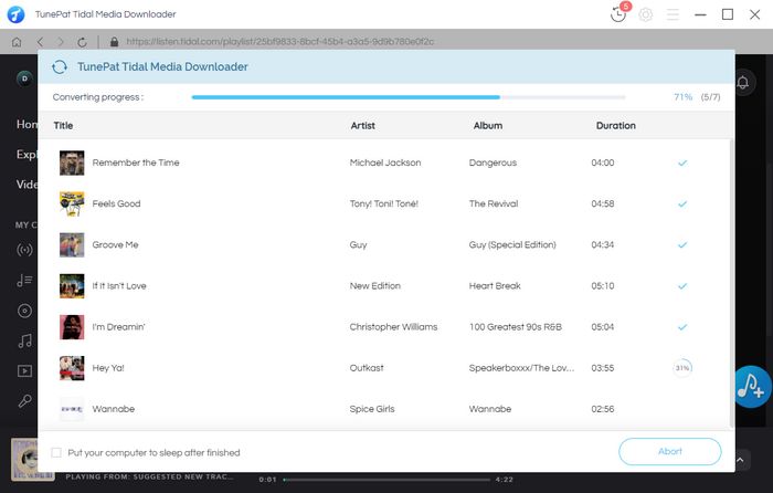 successfully download tidal music to mp3 on local pc