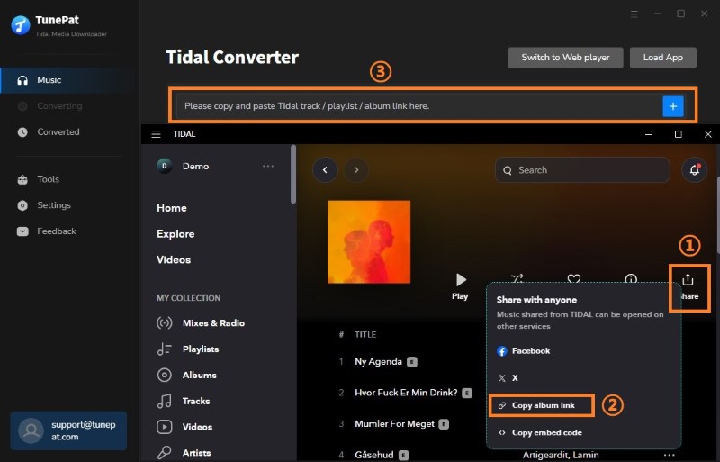 parse tidal music link