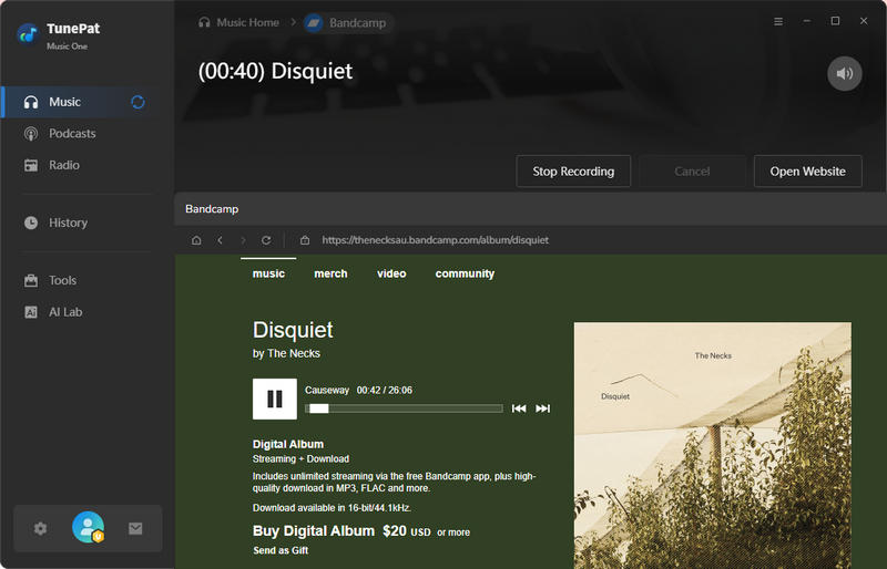 record bandcamp music