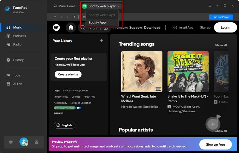 embedded Spotify web player in TunePat