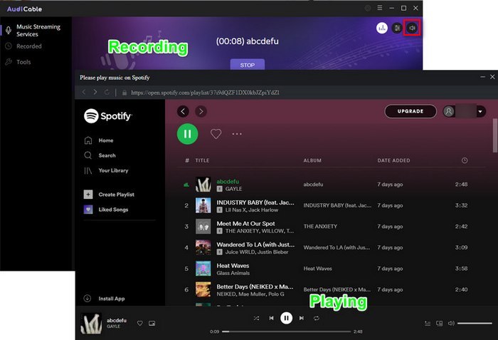 How to Download and Convert Spotify Playlist to MP3 - TunePat