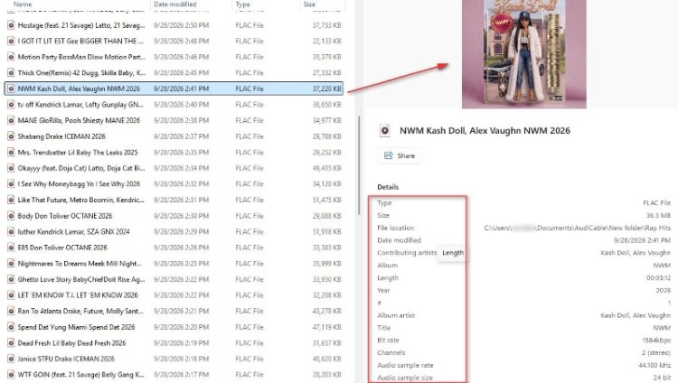 audicable downloaded songs