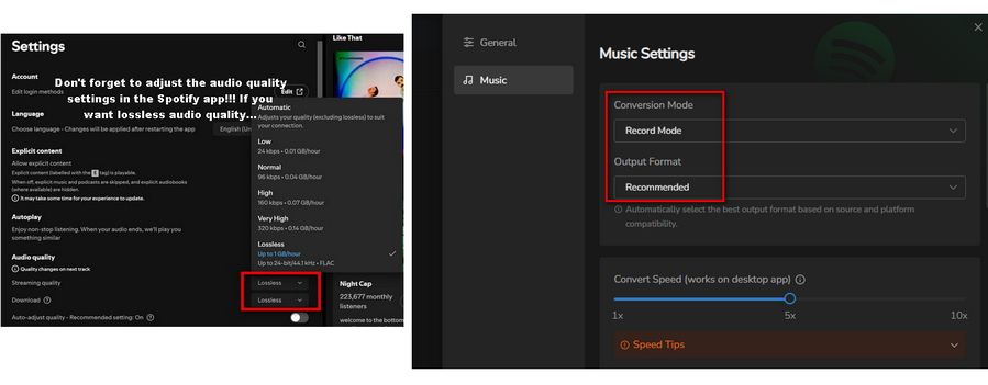 download spotify lossless audio