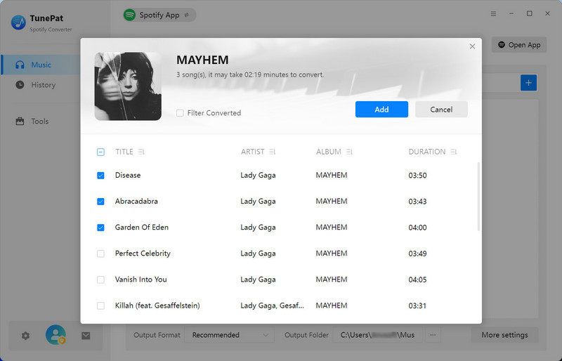 Add Spotify songs to convert