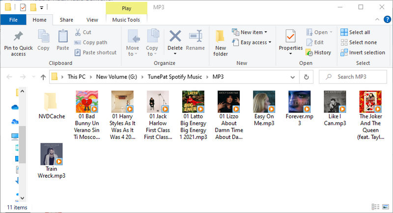 successfully download spotify music to mp3 on local pc