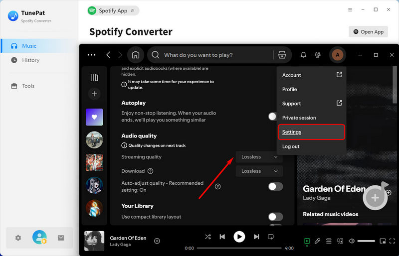 Set lossless streaming