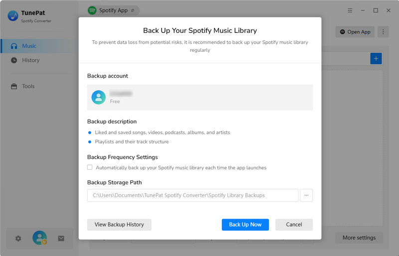 back up Spotify music library