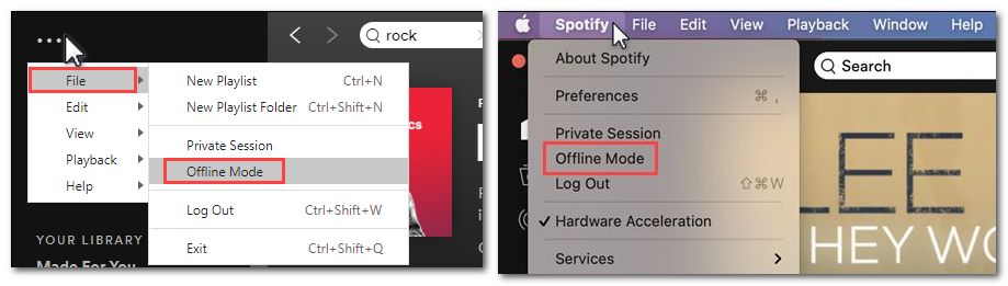 spotify offline mode on computer