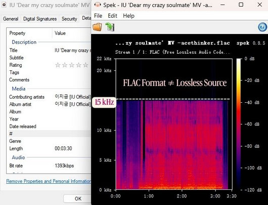 AceThinker YouTube to FLAC Converter test result