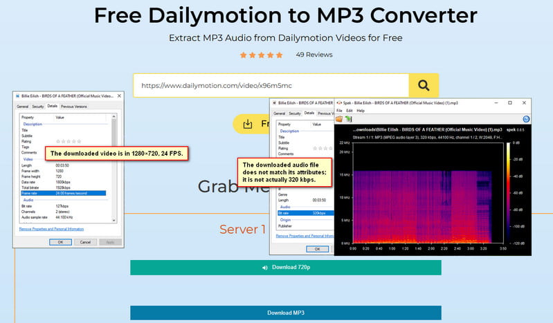 AceThinker Dailymotion Downloader test result