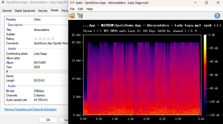 SPOTIDOWN audio quality test showing 320kbps MP3 output