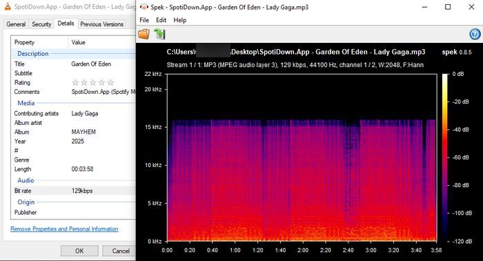SPOTIDOWN spotify download audio quality test result