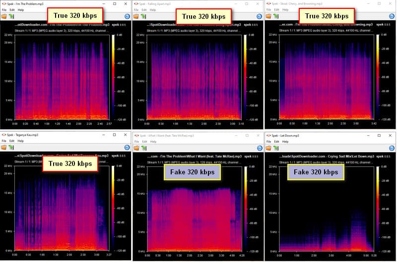 spotidownloader download audio quality