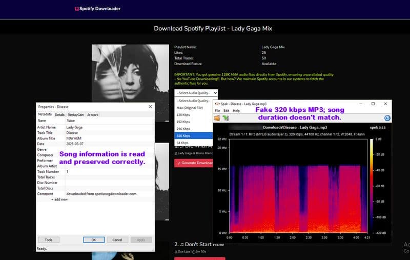 SpotifyDownloader test result