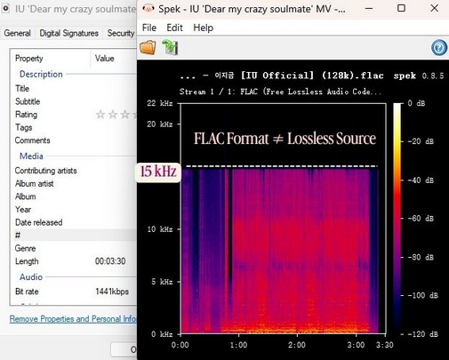 Ytmp3.gg YouTube to FLAC Converter test result
