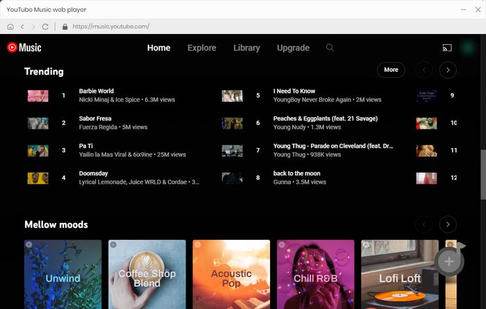 youtube music downloader