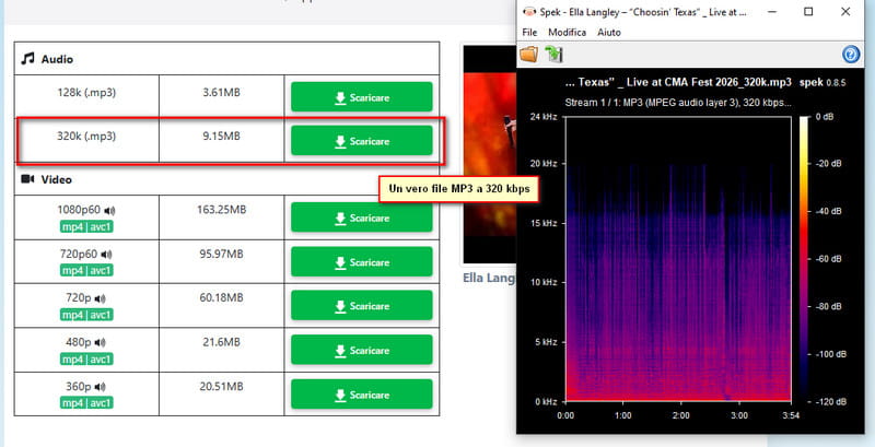 analisi della qualità audio di yt1d.com