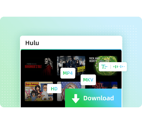 Hulu Video Downloader