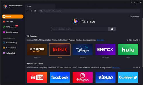 Y2Mate Netflix Video Downloader